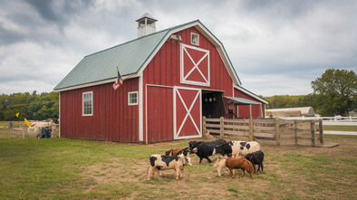 childrens farm