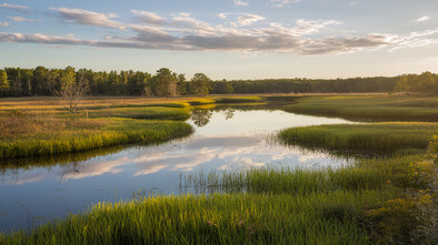 jackson bottom wetlands preserve