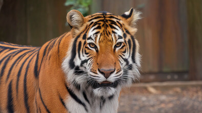 oregon zoo